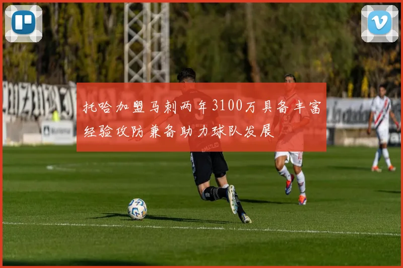 托哈加盟马刺两年3100万具备丰富经验攻防兼备助力球队发展