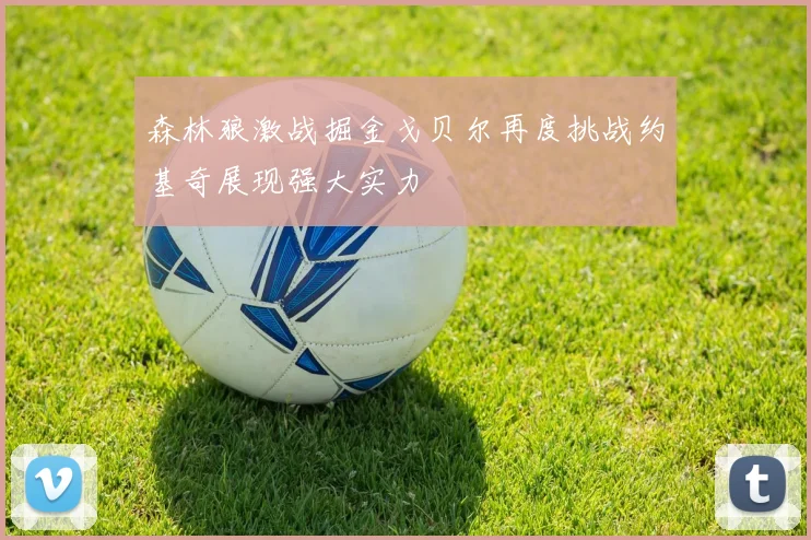 森林狼激战掘金戈贝尔再度挑战约基奇展现强大实力